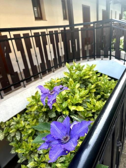 Spacious Fully Furnished Studio In Kavarna Apart Hotel Εξωτερικό φωτογραφία